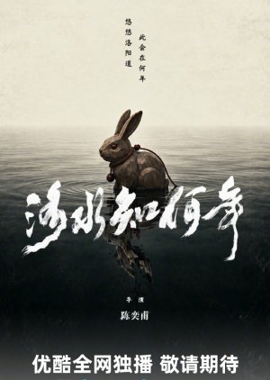 Luo Shui Zhi He Nian poster