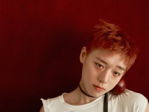 parkjihoonseyebrow