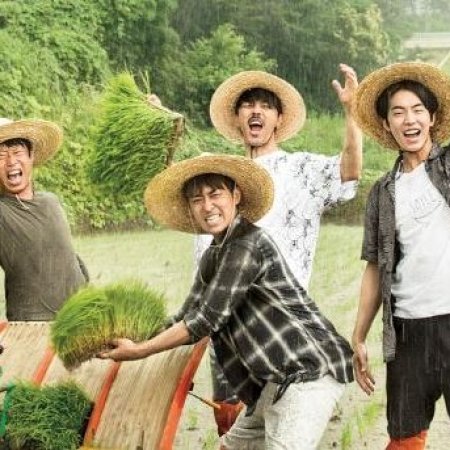 Kamisama no Boto  (2013)
