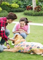 Hero Dog Season 2 Chinese Drama photo