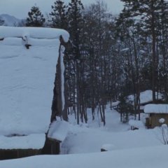 Mushishi (2007) photo