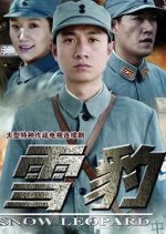 Snow Leopard Chinese Drama(2010) photo