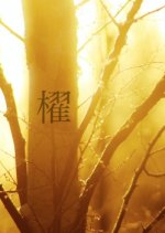 Oar Japanese Drama(2000) photo