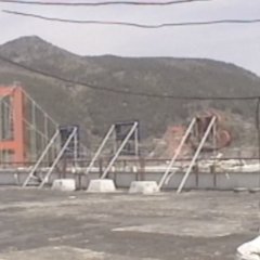 Collectors Korean Movie(2021) photo