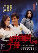 A Swallow in the Storm Taiwanese Movie photo