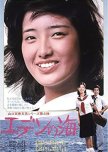 Japanese i have watched 1960-70s