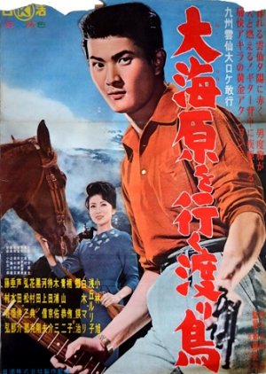 Rambling in the Sea (1961) poster