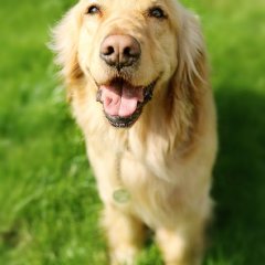 My Lonely Planet Chinese Drama photo