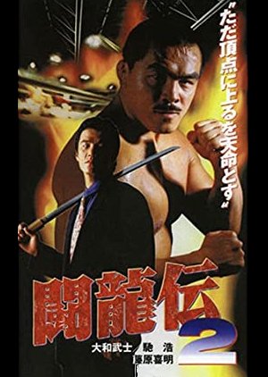 Fighting Dragon Story 2 (1995) poster