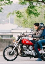 Blossom Korean Movie(2016) photo