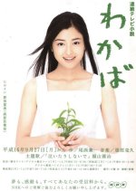 Wakaba Japanese Drama photo
