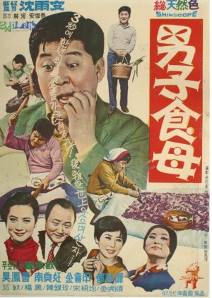 A Male Housekeeper (1968) poster