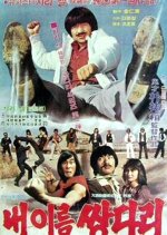 My Name Is 'Twin Legs' Korean Movie(1982) photo