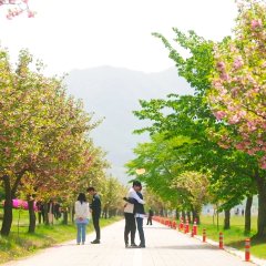 Oh! My Assistant Korean Drama photo