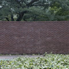 Frame and Matter Korean Movie photo