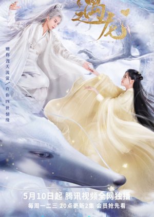 Download Miss the Dragon Subtitle Indonesia - Drama King