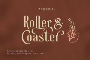 Rollercoaster