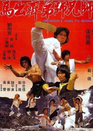 Incredible Kung Fu Mission (1979) poster