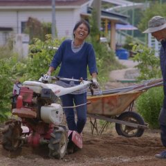 Home Away From Home Korean Movie(2021) photo