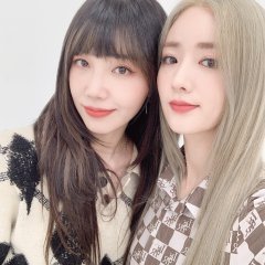 IDDP Korean TV Program photo