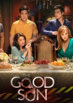 The Good Son Philippines Drama photo