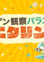 Ningen Kansatsu Variety Monitoring (2012) photo