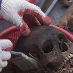 206: Unearthed Korean Movie photo