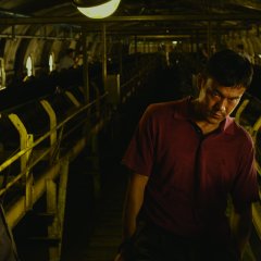 Black Coal, Thin Ice Chinese Movie photo