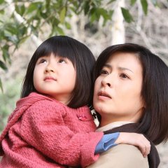 Youkame no Semi Japanese Drama photo