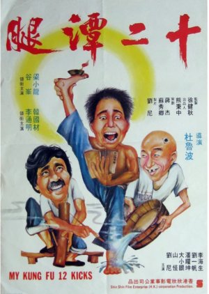 My Kung Fu Twelve Kicks (1979) poster