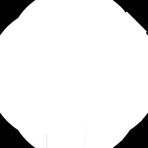 Eru2091