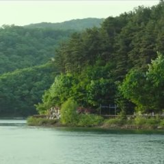 Forgotten (2017) photo