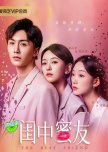 The Best Friend chinese drama review