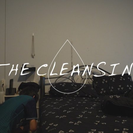 The Cleansing (2024)