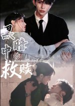 Love in the Dark Chinese Drama(2024) photo