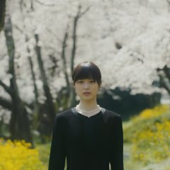 Summer Blooms Japanese Movie photo