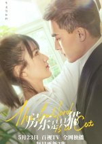 The Landlord Is a Cat Chinese Drama photo