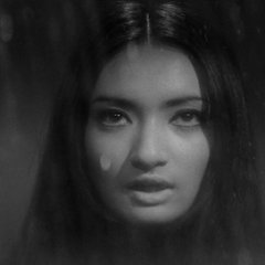 Branded to Kill Japanese Movie photo