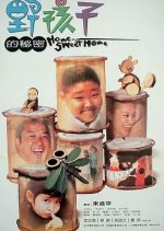 Home, Sweet Home Chinese Movie(1999) photo
