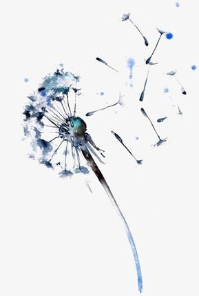 blue_dandelion