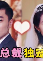 Bing Shan Zong Cai Du Chong Xian Qi Chinese Drama photo