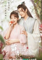 The Journey Chinese Drama(2023) photo