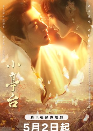 Xiao Ting Tai (2024) poster