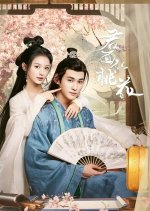 Pavilion Secrets Chinese Drama photo