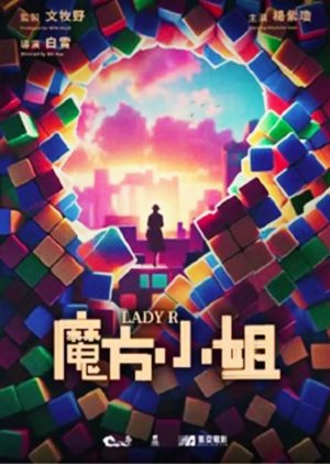 Lady R () poster