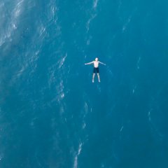 Rooted Taiwanese Movie photo