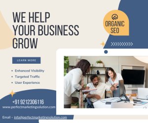 pmsseoservices