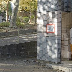 Shape of My Heart Japanese Movie photo