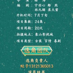 The Imposter Chinese Drama(2024) photo