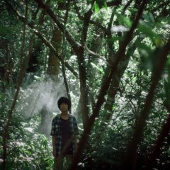 Wild Sparrow Taiwanese Movie photo